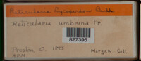 Image Associated With the Occurence